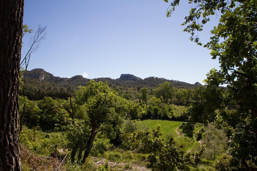 Les Residences De Metifiot Saint-Rémy-de-Provence Dış mekan fotoğraf
